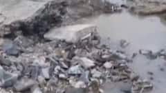 અમરેલીઃ બગસરાના આ ગામમાં ચેકડેમમાં પડ્યું મોટું ગાબડું, હજારો લિટર પાણીનો થયો વેડફાટ