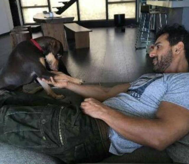 John Abraham: जॉन अब्राहम का बैंडस्टैंड के पास बांद्रा में डुप्लेक्स है. उनके खूबसूरत घर को जॉन के पिता और भाई ने डिजाइन किया है. मीडिया रिपोर्ट्स के मुताबिक, इसकी कीमत 75 करोड़ रुपये है.