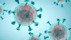 AP Corona Updates: తగ్గని కోవిడ్ వ్యాప్తి... ఏపీలో కొత్తగా 1167 కేసులు, ఏడు మరణాలు