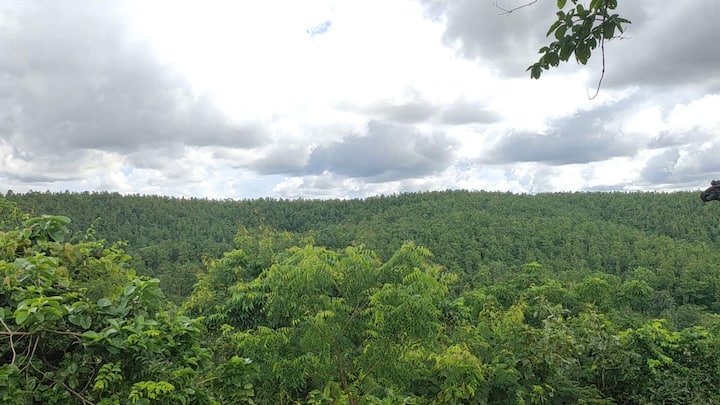 এর ইতিহাস গায়ে কাঁটা দেওয়ার মতো। বেলপাহাড়ির জঙ্গলঘেরা এক পাথরের পাহাড়। তার মধ্যে এক গুহা। সেখানেই হয় এই পুজো।