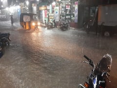 திருவாரூரில் விடிய விடிய கனமழை - நீரில் மூழ்கிய பயிர்களால் விவசாயிகள் வேதனை