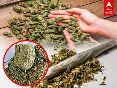 Marijuana sale in Trichy: கஞ்சா விற்பனையில் பெண்கள்.. திருச்சியில் பகீர்.. நேரடி ரிப்போர்ட்..