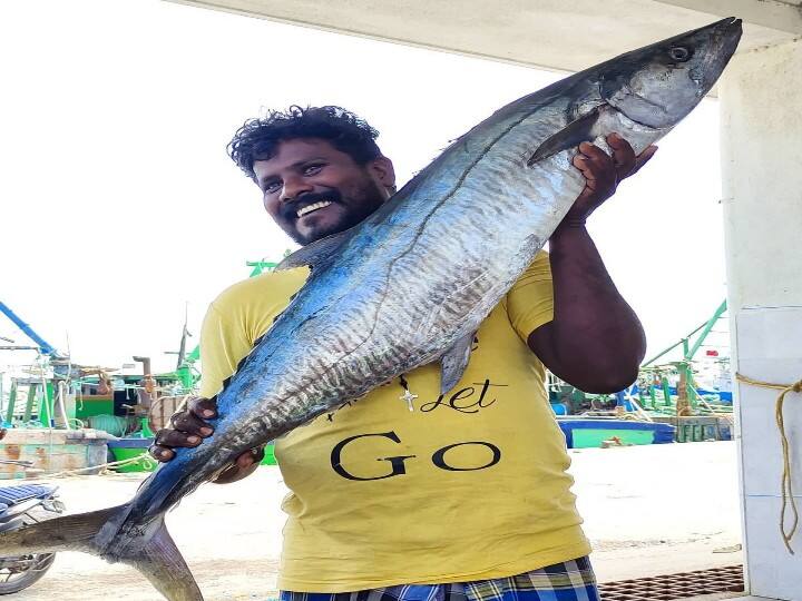 Great welcome to the YouTube channel run by fisherman Kingston from Ramanathapuram district ஒரு மீனுக்கு பின்னாடி இவ்வுளவு பெரிய கதையா? - மீனவர் நடத்தும் யூடியூப் சேனல்...!