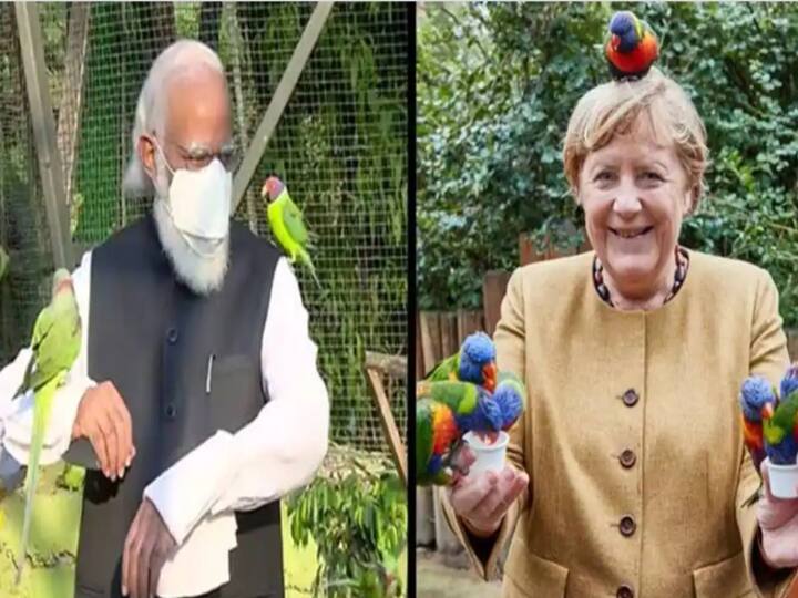 Angela Merkel gets pecked by birds sparks hilarious memes ஜெர்மன் அதிபரைக் கடித்த கிளி... கிண்டலடித்து மீம்களை தெறிக்கவிட்ட நெட்டிசன்கள்!