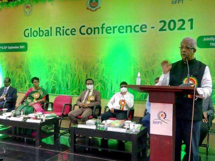 Development of new paddy variety in Tamil Nadu on par with Andhra Ponni rice - Chief Minister Stalin to introduce Pongal festival ஆந்திரா பொன்னி அரிசிக்கு இணையாக புதிய நெல் ரகம் - பொங்கல் அன்று முதல்வர் அறிமுகம் செய்ய வாய்ப்பு