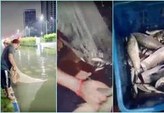 `சாலையில் தேங்கிய மழைநீரில் மீன்பிடி திருவிழா!’ : இணையத்தில் பரவும் வைரல் வீடியோ!