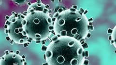 Covid crisis | Less than 30 thousand new cases reported in 24 hours