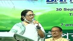 Mamata Banerjee: 'ভবানীপুর রাজ্যকে মুখ্যমন্ত্রী দিয়েছে, TMC-র জন্মস্থলও এই ভবানীপুরই', প্রচারে বললেন মমতা | Bangla News