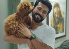 Ramcharan Teja poodle: கையில் மிதக்கும் கனவா நீ! - ஆர்.ஆர்.ஆர்., ராம்சரண் தனது செல்லநாயுடன்!