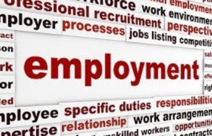 In Trichy Central Zone 88,376 people have renewed their employment record through special offer. திருச்சி மத்திய மண்டலத்தில் 88,376  பேர் சிறப்பு சலுகை மூலம் வேலைவாய்ப்பு பதிவை புதுப்பித்துள்ளனர்.