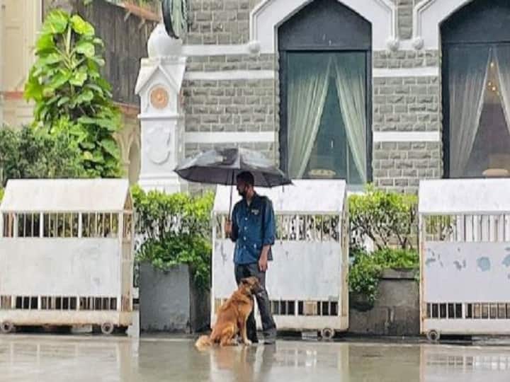 Viral Photo: कुत्ते के साथ छाता शेयर करने वाले शख्स की तस्वीर सोशल मीडिया पर वायरल, Ratan Tata ने भी की शेयर