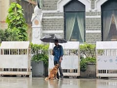 Viral Photo: कुत्ते के साथ छाता शेयर करने वाले शख्स की तस्वीर सोशल मीडिया पर वायरल, Ratan Tata ने भी की शेयर