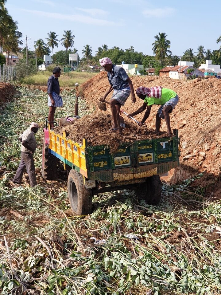 தருமபுரி: 50 செண்ட் நிலத்தில் 6,000 மரங்கள்...! - மியாவாக்கி காடுகளை உருவாக்கும் அபுதாபி அரசு ஊழியர்