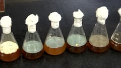 Demand for bio-decomposer solution increasing from neighboring states of Delhi | Ground Report