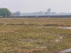 दिल्ली के बाद पड़ोसी राज्यों ने भी की बायो-डिकम्पोज़र की मांग, IARI लैब में वैज्ञानिक कर रहे हैं निर्माण