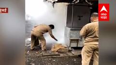 Dengue | नवी मुंबईत डेंग्यूचे 300 रुग्ण, गावठाण परिसरात डेंग्यूच्या रुग्णात वाढ