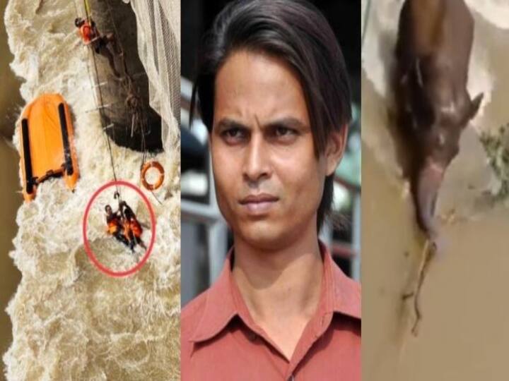 odisa repoter dies Arindam Dies While Covering Elephant Rescue Operation In Mahanadi river! odisa  | காட்டாறில் சிக்கிய யானை.. நியூஸ் கவரேஜில் பத்திரிகையாளர் பலி.. பதறவைக்கும் வீடியோ!