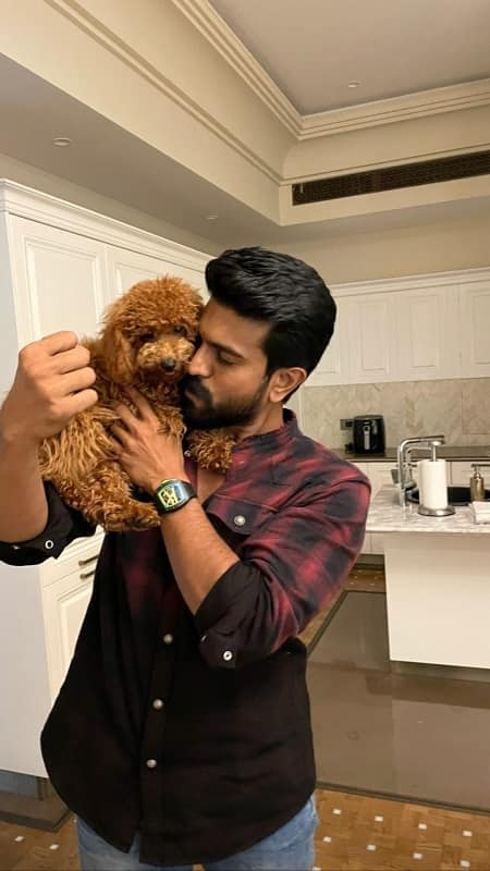 சிறகால் செய்த சிலையா நீ?