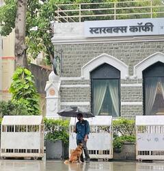 ਕੁੱਤੇ ਨੂੰ ਛਤਰੀ ਦੇਣ ਵਾਲੇ ਸ਼ਖਸ ਦੀ ਤਸਵੀਰ ਸੋਸ਼ਲ ਮੀਡੀਆ 'ਤੇ ਵਾਇਰਲ, ਰਤਨ ਟਾਟਾ ਨੇ ਵੀ ਕੀਤੀ ਸ਼ੇਅਰ 