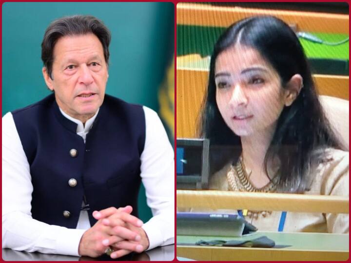 UN में इमरान खान ने कश्मीर को लेकर बहाए घड़ियाली आंसू, भारत ने आरोपों को बताया झूठा प्रचार