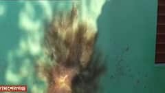 Bombing: ভোটের আগে সামশেরগঞ্জে TMC নেতার বাড়িতে বোমাবাজি, দুষ্কৃতীদের বিরুদ্ধে অভিযোগ | Bangla News