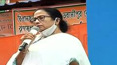 Mamata Banerjee: 'কোভিডের সময় আপনাদের সুবিধার জন্য আমি রাস্তায় রাস্তায় ঘুরেছি', ভবানীপুরে প্রচারমঞ্চে মমতা | Bangla News