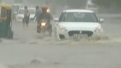 મારુ શહેર મારી વાત: ટ્રાફિક સમસ્યા અને રખડતા ઢોરોની સમસ્યા જટિલ બની