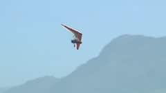 Azadi Ka Amrit Mahotsav: IAF's Air Show in Kashmir after 13 years | Wings to your dreams