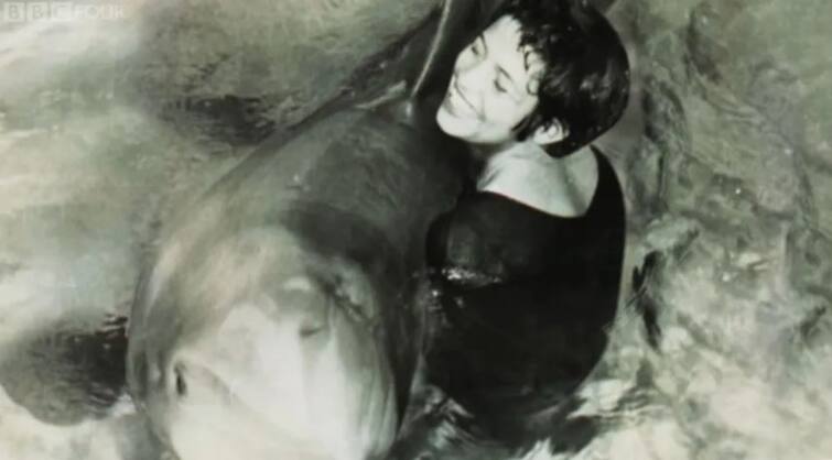 Love Story: Dolphin suicide by being separated from his human lover details inside 23 વર્ષની રીસર્ચર યુવતીએ ડોલ્ફિન સાથે માણ્યું સેક્સ, બંને અલગ થતાં આઘાતમાં ડોલ્ફિને કરી લીધો આપઘાત, જાણો અનોખી લવ સ્ટોરી..