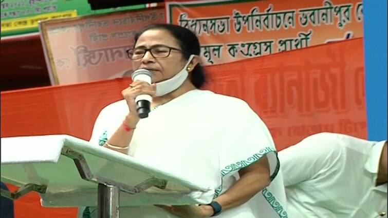 Mamata Banerjee bhawanipur Campaigning talking about Iswarchandra Vidyasagar 'বিদ্যাসাগরের কর্মসূচি আমরা চালিয়ে নিয়ে যাচ্ছি', নির্বাচনী প্রচারে মন্তব্য মমতার