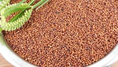 Ragi Foods: రోజుకో గ్లాసుడు రాగి జావ తాగండి.. వైద్యుడి వద్దకు వెళ్లే అవసరం తగ్గుతుంది