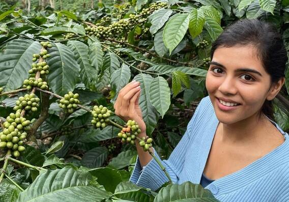 Kalyani Priyadarshan: అడవిలో అఖిల్ హీరోయిన్ షికార్లు.. జిప్సీ రైడ్ తో ఎంజాయ్ చేస్తున్న కల్యాణి Kalyani Priyadarshan: అడవిలో అఖిల్ హీరోయిన్ షికార్లు.. జిప్సీ రైడ్ తో ఎంజాయ్ చేస్తున్న కల్యాణి