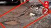 Mumbai Potholes : मुंबईत केवळ 500 खड्डे? महापालिकेच्या दाव्यावर मुंबईकरांचा संताप ABP Majha