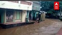 Akola पुरामध्ये 30-35 जनावरं वाहून गेली, ढगफुटीसदृश पाऊस, खानापूर गावात पूरस्थिती