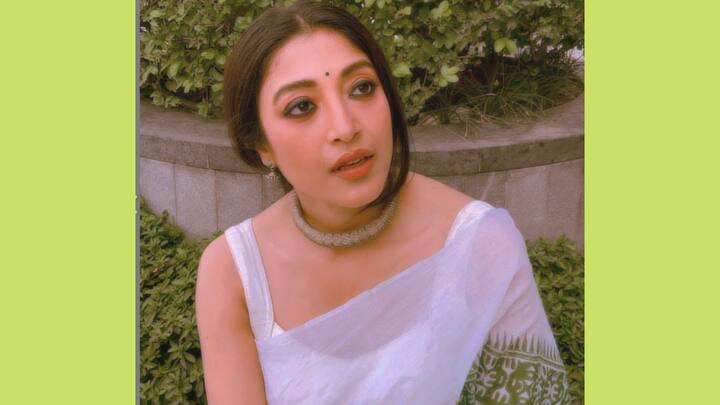 টেলিভিশনের ধারাবাহিক দিয়ে অভিনয় জীবন শুরু করেন পাওলি।
