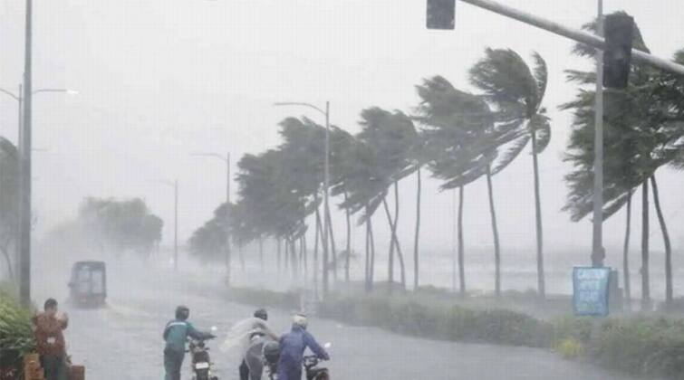 Andhra Pradesh: Cyclone Gulab Aftermath Sees Over 1.5 Lakh Acres Crop Loss In Three Districts