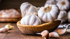 Benefits of Eating Garlic: રોજ ખાલી પેટ લસણ ખાવાથી વજન ઉતરવાની સાથે થાય છે આ અદભૂત ફાયદા