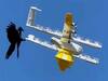 Haven Troubles Drones | காபி டெலிவரி ட்ரோனை தள்ளிவிட்ட காகம்.. நீங்க ’ஆங்க்ரி பேர்டா’ ப்ரோ.. சொல்லவேயில்ல