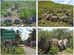 தர்மபுரி : பெருங்கற்கால ஈம சின்ன பகுதிகள் : பாதுகாக்கப்பட்ட சின்னங்களாக பராமரிக்க தமிழ்நாடு அரசு அறிவிப்பு..