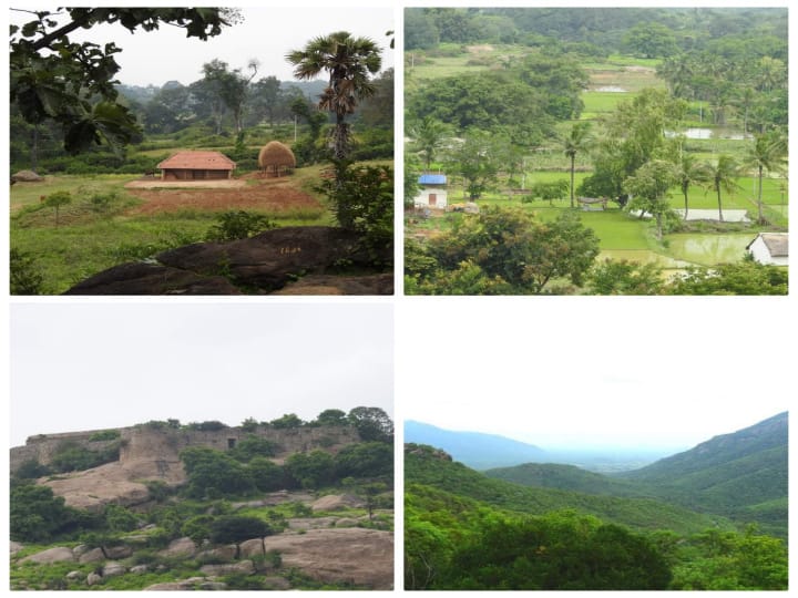 Tiruvannamalai | திருவண்ணாமலைக்கு ஆன்மீக விசிட் மட்டுமில்ல.. ட்ரிப் ப்ளானும் போடலாம்.. இதைப் பாருங்க