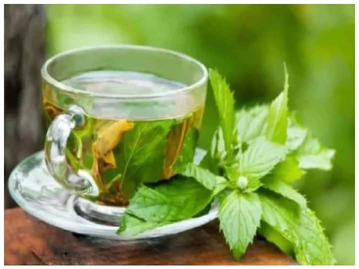 Can Green tea help suppress cancer tumor Know perfect way to prepare क्या कैंसर के ट्यूमर को दबाने में मदद कर सकती है ग्रीन टी? जानिए बनाने का सही तरीका