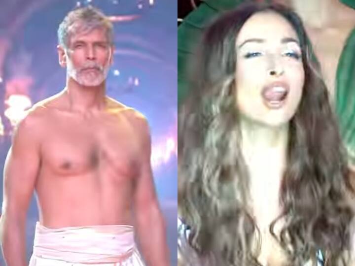 Malaika Arora could not stop herself seeing Milind Soman shirtless gave such a reaction watch video Video: Milind Soman को शर्टलेस देखकर खुद को रोक नहीं पाईं Malaika Arora, दे दिया ऐसा रिएक्शन