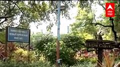 Mumbai : Seepzच्या पोटात आणखी काय दडवलंय? मुंबईतील सीप्झ परिसरात मधोमध निसर्गाचा ठेवा Special Report