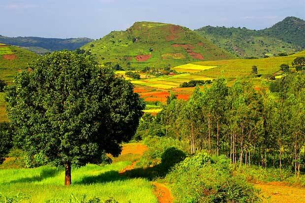 ஆந்திர மாநிலத்தில் உள்ள அரக்கு வேலி