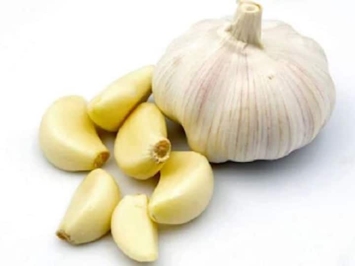 Eat garlic cloves empty stomach it will provide you these five benefits Benefits of Eating Garlic: रोजाना खाली पेट करें कच्चे लहसुन का सेवन, मिलेंगे ये 5 जबरदस्त फायदे