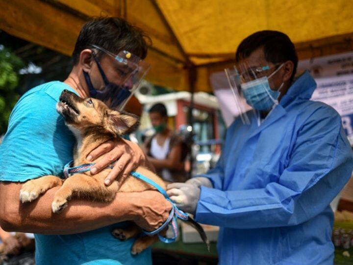 World Rabies Day 2021 Theme History Significance Everything You Need To Know About Zoonotic Disease World Rabies Day 2021: Theme, History, Significance And Everything You Need To Know