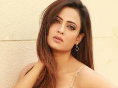 1.38 करोड़ की बीएमडब्ल्यू 7 से लेकर 47 लाख की ऑडी तक, ऐसा है Shweta Tiwari का कार कलेक्शन