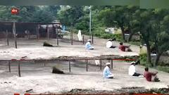 Beed Crime : जेव्हा सख्खे मित्र पक्के वैरी बनतात... वाढदिवसालाच पेट्रोल टाकून जाळण्याचा प्रयत्न