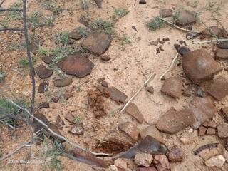 மதுரை : மண் மேற்பரப்பில் 2000 ஆண்டுகள் பழமையான முதுமக்கள் தாழி கண்டறியப்பட்டது!