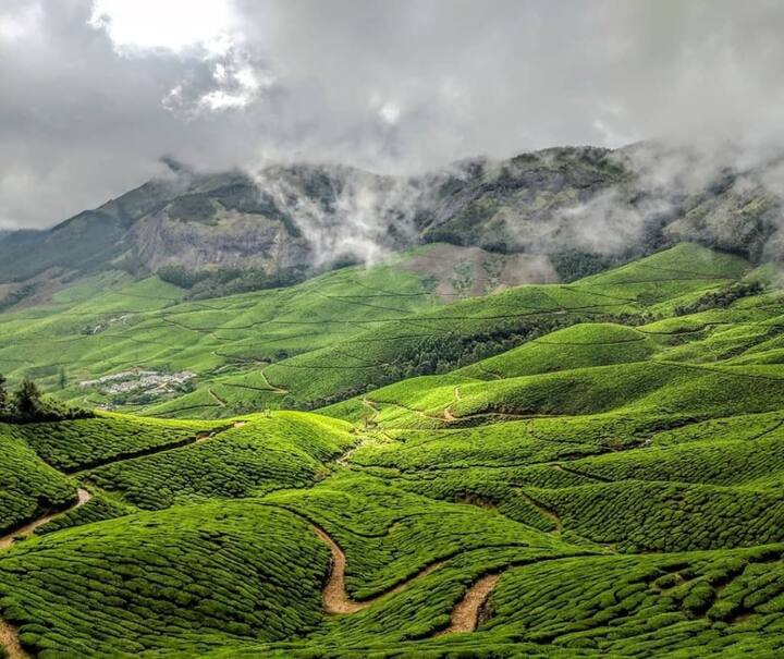 மூணாரில் உள்ள கொலுக்குமலை